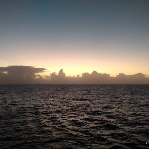 Meet your Posher, Traci - Picture 1 of 1